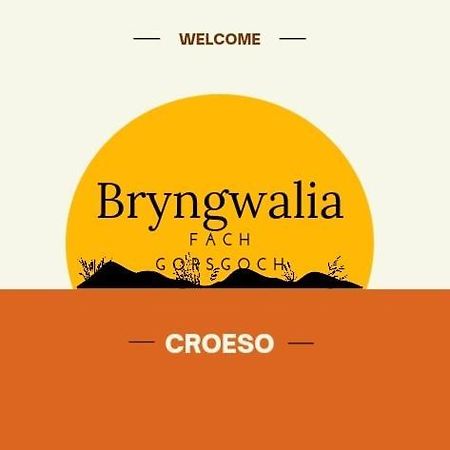 Bryngwalia Fach Lägenhet Cribyn Exteriör bild